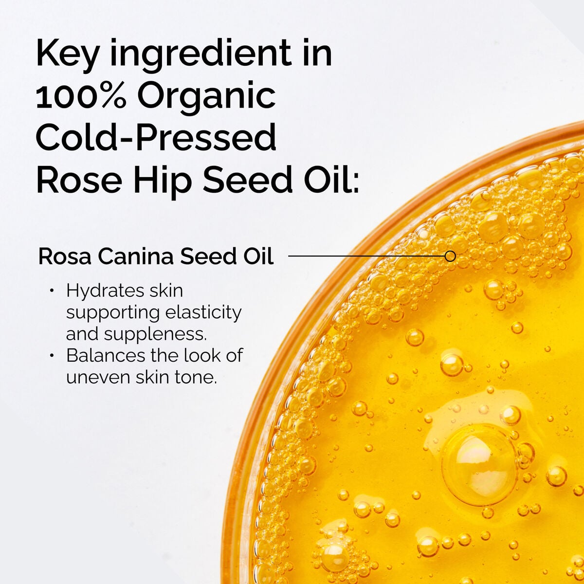 100-organic-cold-pressed-rose-hip-seed-oil-e4 FY25-D41247-ORD-Web-PDP-100-Rose-Hip-Oil-1x1-EN-2.jpg