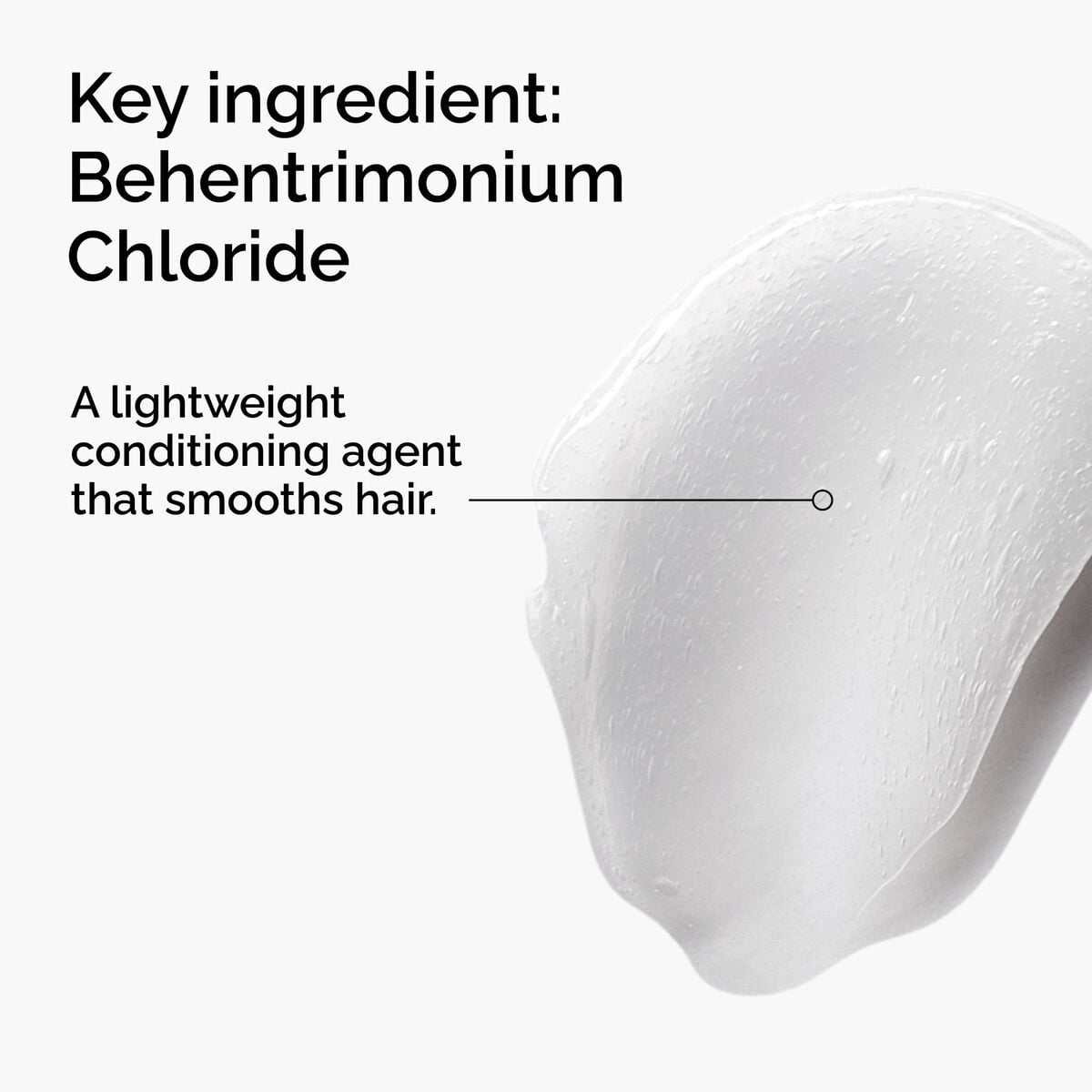 behentrimonium-chloride-2-conditioner-i1 FY25-D41247-ORD-Web-PDP-BTC-1x1-EN-2a.jpg