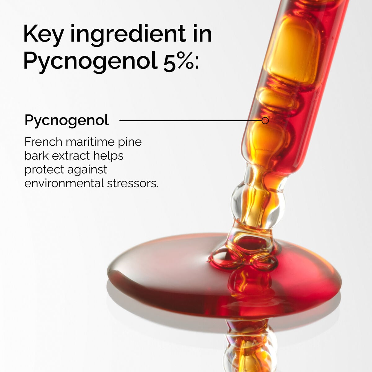 pycnogenol-5-p9 FY25-D41247-ORD-Web-PDP-Pyc-5pct-1x1-EN-2a.jpg