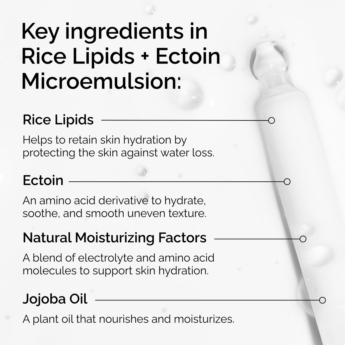 rice-lipids-ectoin-microemulsion-x1 ord-rice-lipids-ectoin-microemulsion-key-ingredients.png