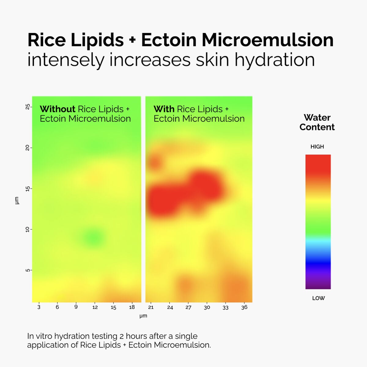 rice-lipids-ectoin-microemulsion-x1 ord-rice-lipids-ectoin-microemulsion-thermal-before-after.jpg